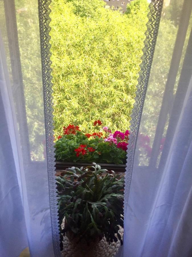 Český Krumlov Pension Plesivecka 119 מראה חיצוני תמונה