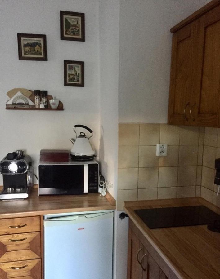 Český Krumlov Pension Plesivecka 119 מראה חיצוני תמונה