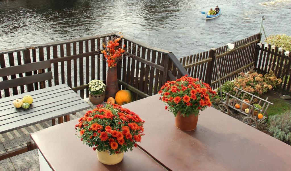 Český Krumlov Pension Plesivecka 119 מראה חיצוני תמונה