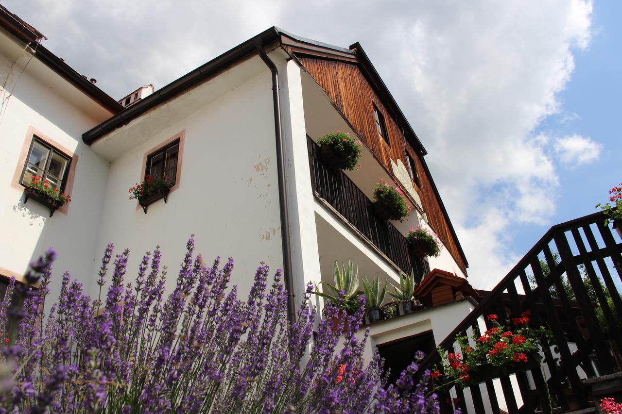 Český Krumlov Pension Plesivecka 119 מראה חיצוני תמונה