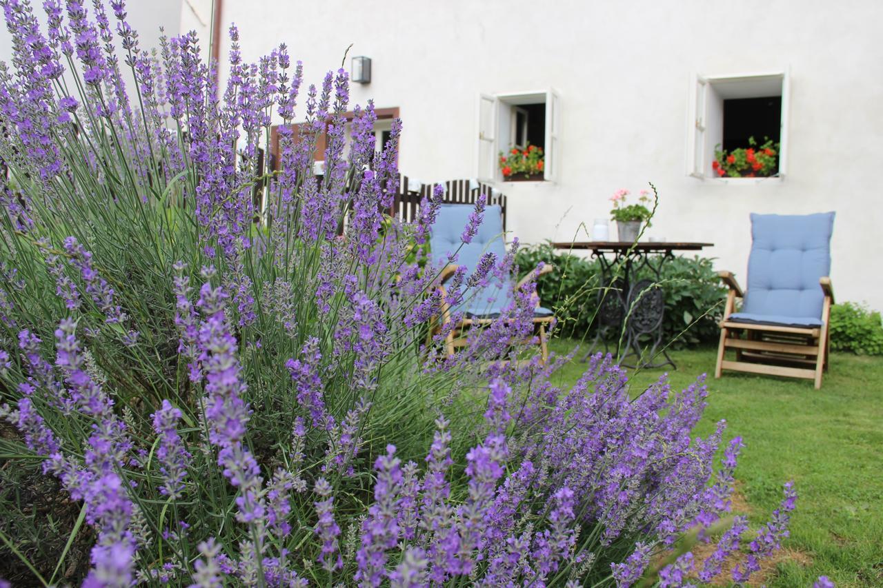 Český Krumlov Pension Plesivecka 119 מראה חיצוני תמונה